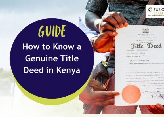 How to Know a Genuine Title Deed in Kenya